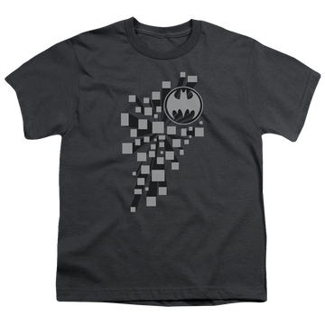 DC Batman Gotham 3D - Youth T-Shirt Youth T-Shirt (Ages 8-12) Batman   