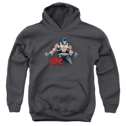 Bane Bane Flex - Youth Hoodie Youth Hoodie (Ages 8-12) Bane   