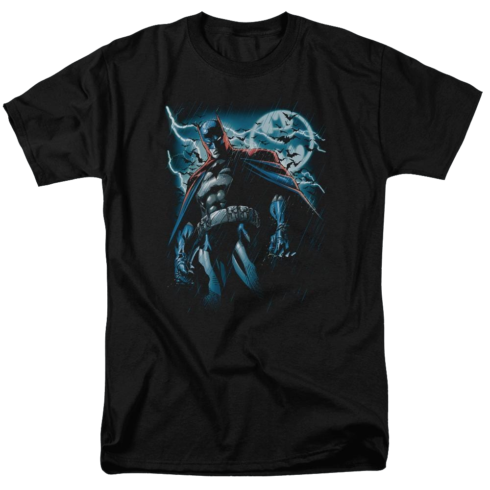 Batman Stormy Knight - Men's Regular Fit T-Shirt Men's Regular Fit T-Shirt Batman   