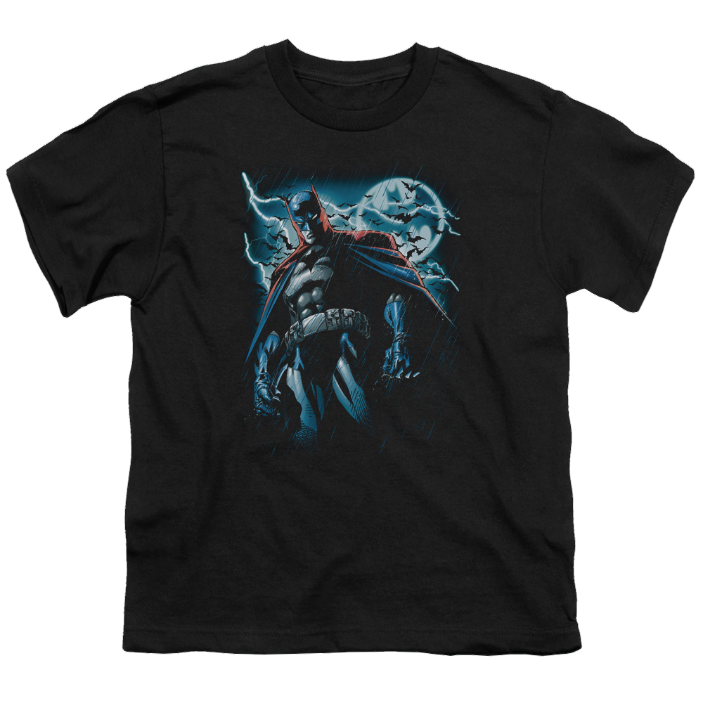 DC Batman Stormy Knight - Youth T-Shirt Youth T-Shirt (Ages 8-12) Batman   