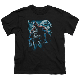 DC Batman Stormy Knight - Youth T-Shirt Youth T-Shirt (Ages 8-12) Batman   