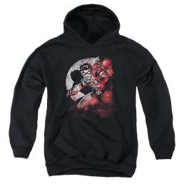 Robin Robin Spotlight - Youth Hoodie Youth Hoodie (Ages 8-12) Batman   