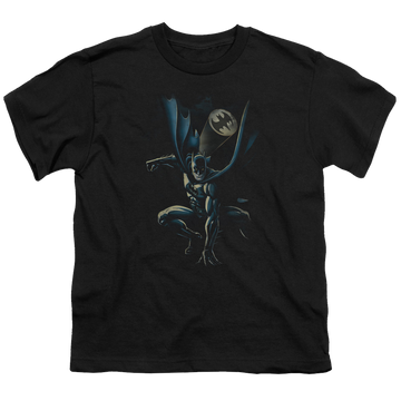 DC Batman Calling All Bats - Youth T-Shirt Youth T-Shirt (Ages 8-12) Batman   