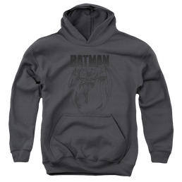 DC Batman Grey Noise - Youth Hoodie Youth Hoodie (Ages 8-12) Batman   