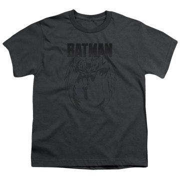 DC Batman Grey Noise - Youth T-Shirt Youth T-Shirt (Ages 8-12) Batman   