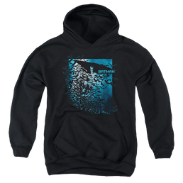 DC Batman Bat Among Bats - Youth Hoodie Youth Hoodie (Ages 8-12) Batman   