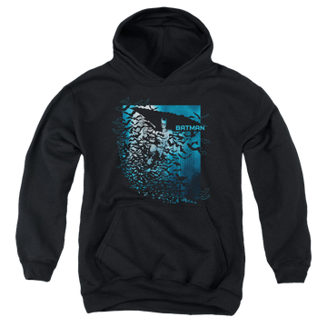 DC Batman Bat Among Bats - Youth Hoodie Youth Hoodie (Ages 8-12) Batman   