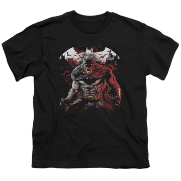 DC Batman Raging Bat - Youth T-Shirt Youth T-Shirt (Ages 8-12) Batman   