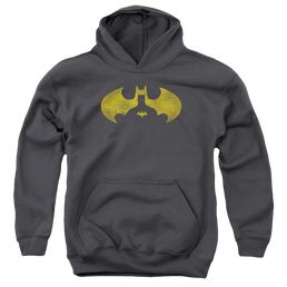 DC Batman Bat Symbol Knockout - Youth Hoodie Youth Hoodie (Ages 8-12) Batman   