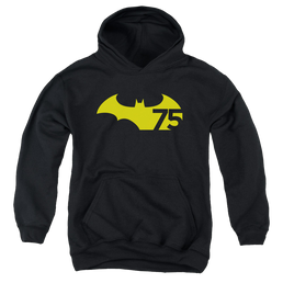 DC Batman 75 Logo 2 - Youth Hoodie Youth Hoodie (Ages 8-12) Batman   