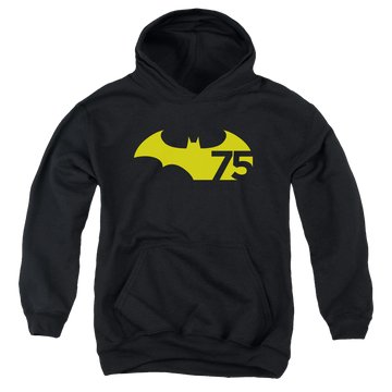 DC Batman 75 Logo 2 - Youth Hoodie Youth Hoodie (Ages 8-12) Batman   