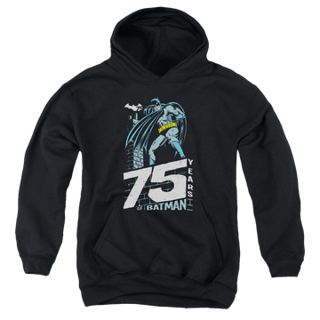DC Batman Rooftop - Youth Hoodie Youth Hoodie (Ages 8-12) Batman   