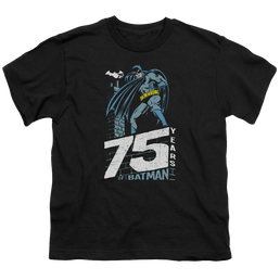 DC Batman Rooftop - Youth T-Shirt Youth T-Shirt (Ages 8-12) Batman   