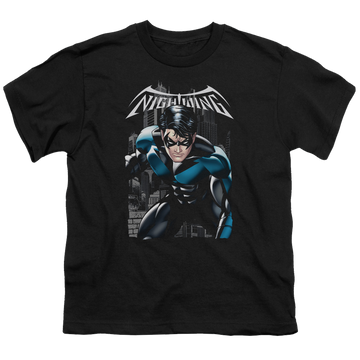 DC Batman A Legacy - Youth T-Shirt Youth T-Shirt (Ages 8-12) Batman   