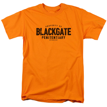 Orange men's regular fit t-shirt with Batman Blackgate graphic
