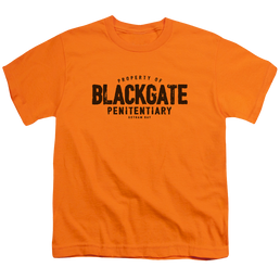 DC Batman Blackgate - Youth T-Shirt Youth T-Shirt (Ages 8-12) Batman   