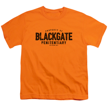 DC Batman Blackgate - Youth T-Shirt Youth T-Shirt (Ages 8-12) Batman   