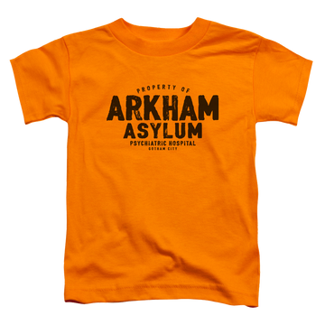 DC Batman Arkham Asylum - Kid's T-Shirt Kid's T-Shirt (Ages 4-7) Batman   
