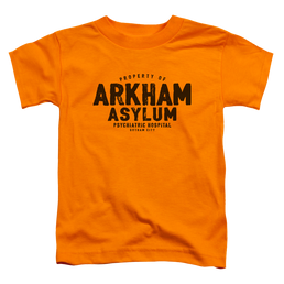 DC Batman Arkham Asylum - Toddler T-Shirt Toddler T-Shirt Batman   