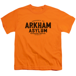 DC Batman Arkham Asylum - Youth T-Shirt Youth T-Shirt (Ages 8-12) Batman   