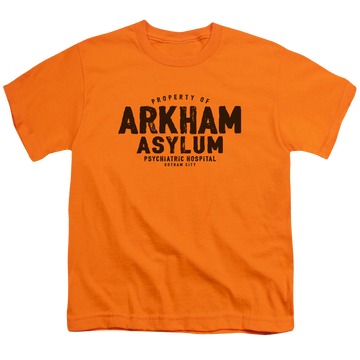 DC Batman Arkham Asylum - Youth T-Shirt Youth T-Shirt (Ages 8-12) Batman   