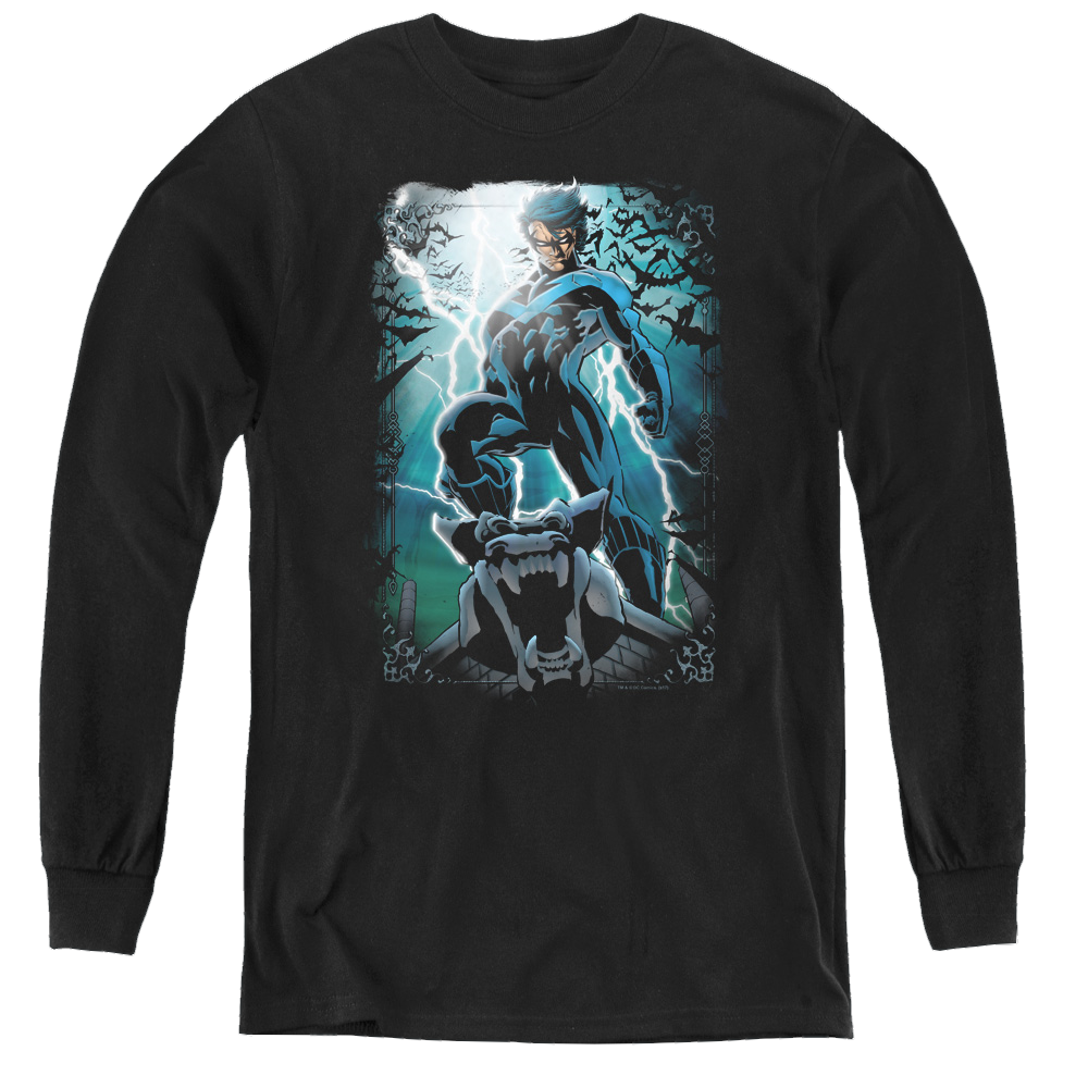 Nightwing Night Light - Youth Long Sleeve T-Shirt Youth Long Sleeve T-Shirt Nightwing   