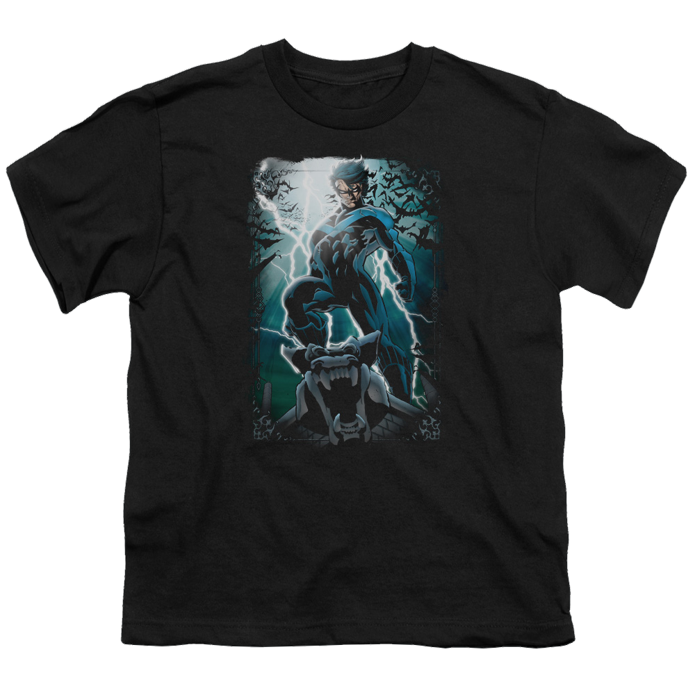 Nightwing Night Light - Youth T-Shirt Youth T-Shirt (Ages 8-12) Nightwing   