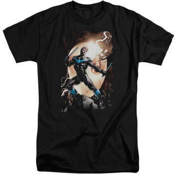 Black men's tall fit t-shirt with Batman Nightwing Against Owls graphic