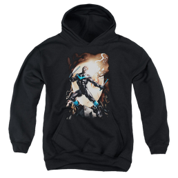 Nightwing Nightwing Against Owls - Youth Hoodie Youth Hoodie (Ages 8-12) Nightwing   