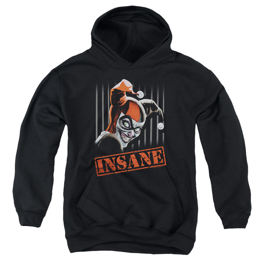 Harley Quinn Insane - Youth Hoodie Youth Hoodie (Ages 8-12) Harley Quinn   
