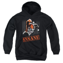 Harley Quinn Insane - Youth Hoodie Youth Hoodie (Ages 8-12) Harley Quinn   