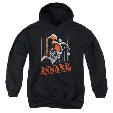 Black youth hoodie for ages 8 to 12 with Harley Quinn Insane graphic