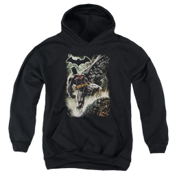 DC Batman Family - Youth Hoodie Youth Hoodie (Ages 8-12) Batman   