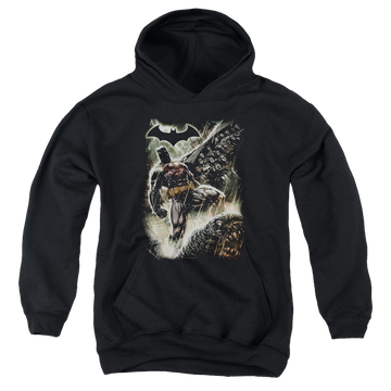 DC Batman Family - Youth Hoodie Youth Hoodie (Ages 8-12) Batman   
