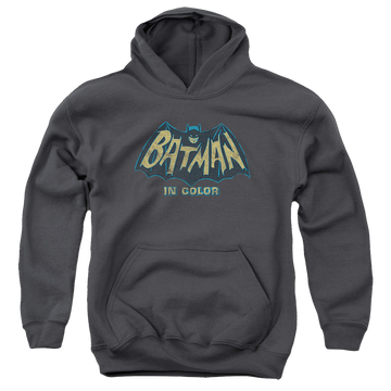 Batman Classic TV Series In Color - Youth Hoodie Youth Hoodie (Ages 8-12) Batman   