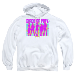 Birds of Prey Silhouettes - Pullover Hoodie Pullover Hoodie Birds of Prey   