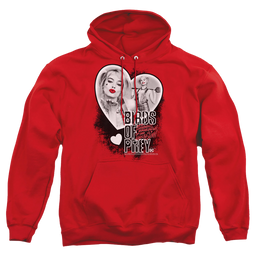 Birds of Prey Heart Harley - Pullover Hoodie Pullover Hoodie Birds of Prey   