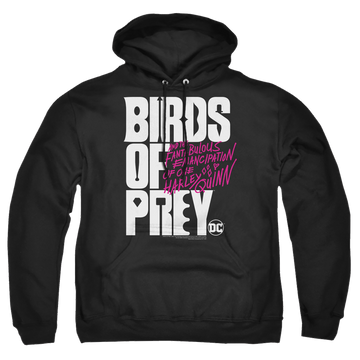 Black pullover hoodie with Birds of Prey Logo graphic