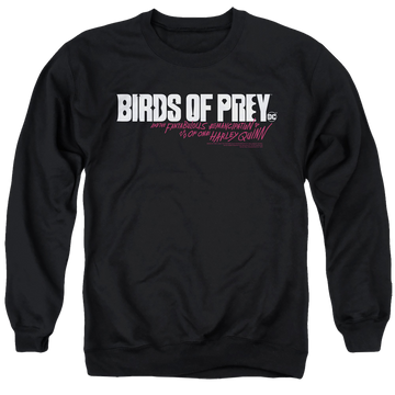 Black men's crewneck sweatshirt with Birds of Prey Horizontal Logo graphic