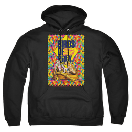 Birds of Prey Couch - Pullover Hoodie Pullover Hoodie Birds of Prey   