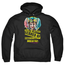 Birds of Prey Scared Of - Pullover Hoodie Pullover Hoodie Birds of Prey   
