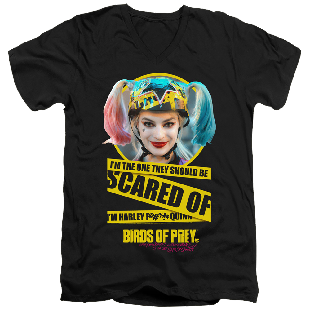 Birds of Prey Scared Of - Men's V-Neck T-Shirt Men's V-Neck T-Shirt Birds of Prey   