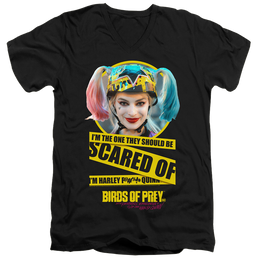 Birds of Prey Scared Of - Men's V-Neck T-Shirt Men's V-Neck T-Shirt Birds of Prey   