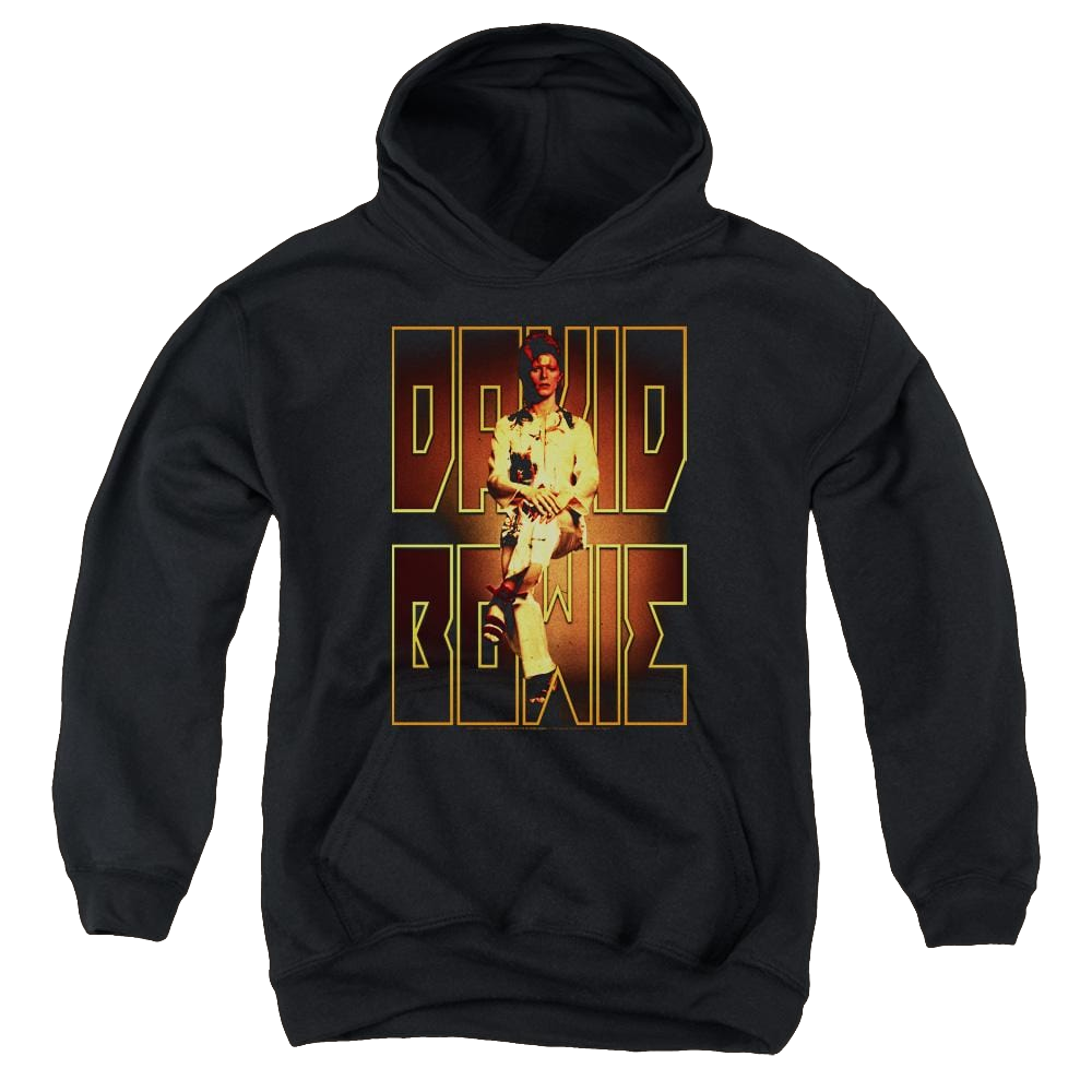 David Bowie Perched - Youth Hoodie (Ages 8-12) Youth Hoodie (Ages 8-12) David Bowie   