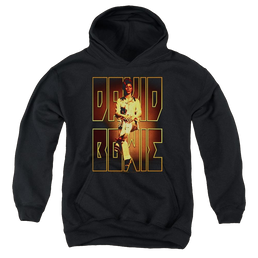 David Bowie Perched - Youth Hoodie (Ages 8-12) Youth Hoodie (Ages 8-12) David Bowie   