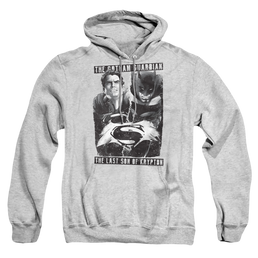 Batman v Superman Guardian V Son - Pullover Hoodie Pullover Hoodie Batman   