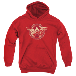 Batman v Superman Wonder Shield - Youth Hoodie Youth Hoodie (Ages 8-12) Batman   