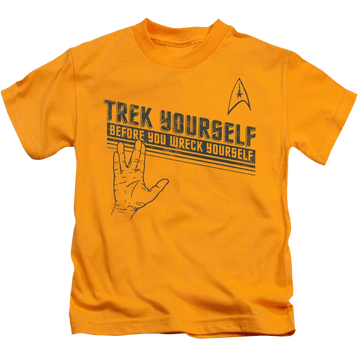 Gold kid's t-shirt for ages 4 to 7 with Star Trek Trek Yourself graphic