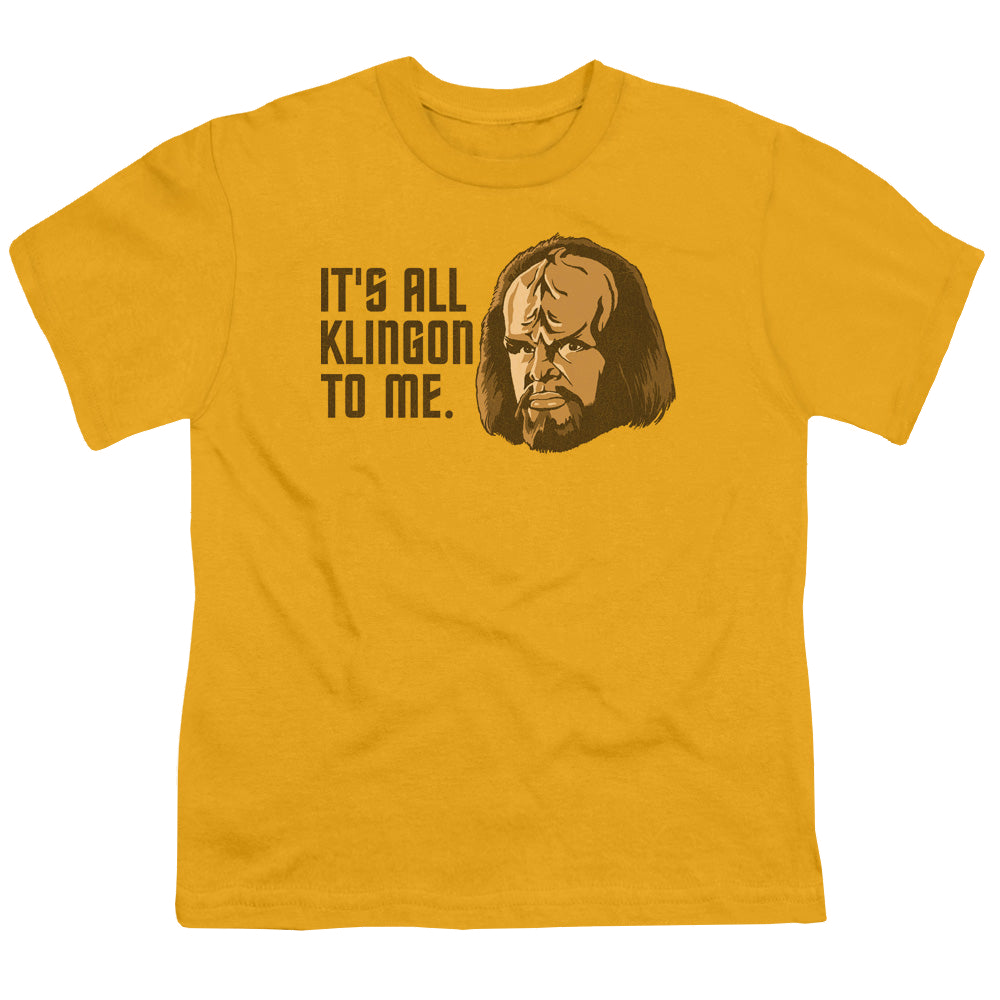 Star Trek The Next Generation All Klingon - Youth T-Shirt Youth T-Shirt (Ages 8-12) Star Trek   