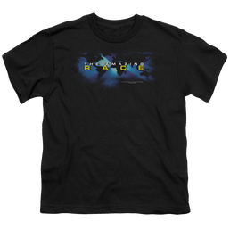 Amazing Race, The Faded Globe - Youth T-Shirt Youth T-Shirt (Ages 8-12) The Amazing Race   